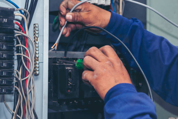 Best Electric Panel Repair  in Lake Como, NJ
